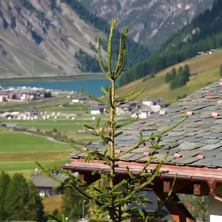 Elena Livigno