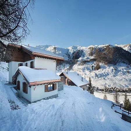 Elena Livigno