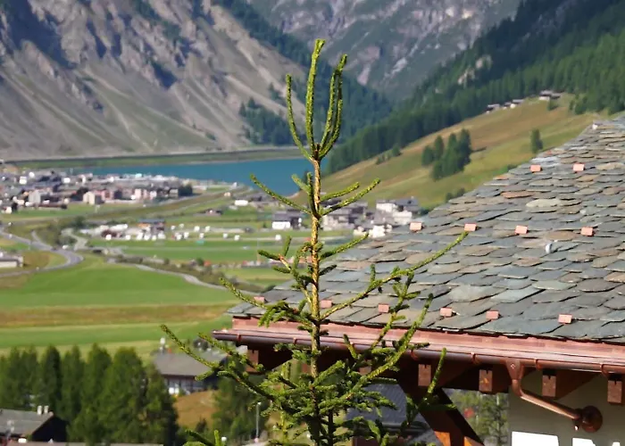 Elena Livigno